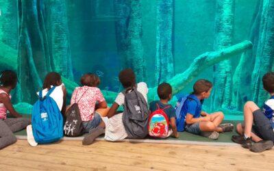 Cuando el tiempo libre abre un sinfín de oportunidades para los menores, sus familias y el barrio