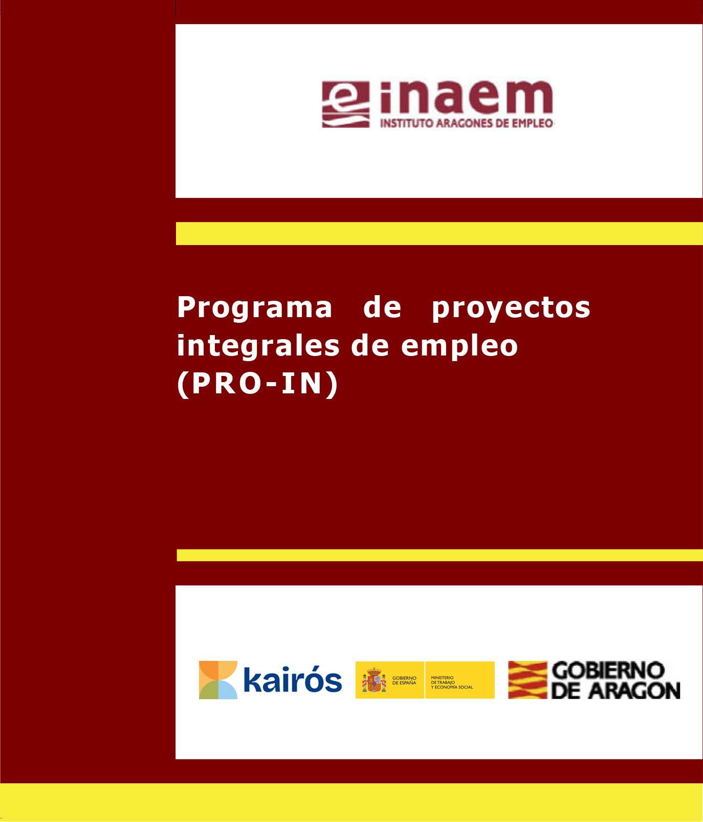 cartel PRO-IN Discapacidad